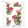 rose, roses, flower, flowers, bouquet, bouquets, R392